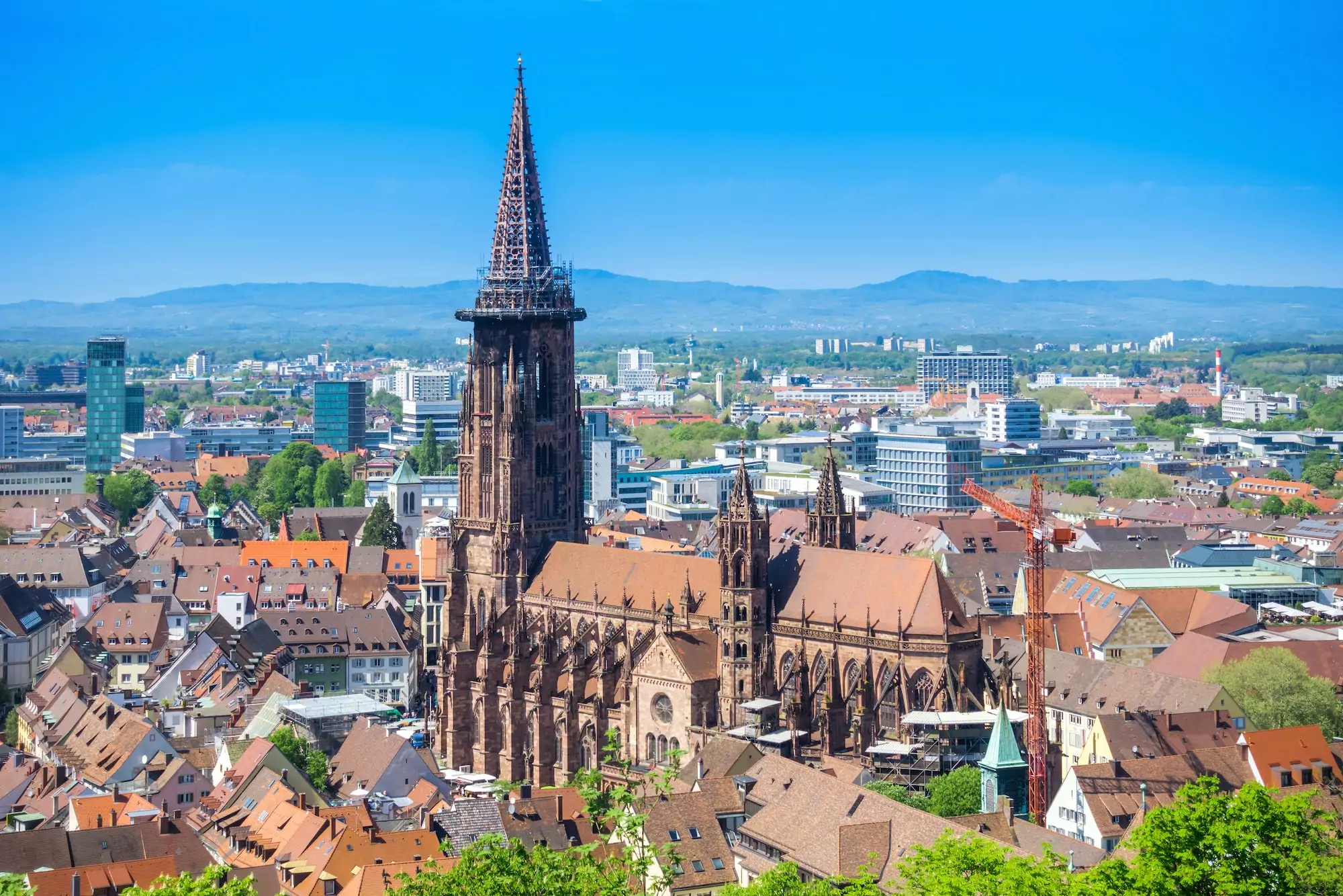 cathedral in Freiburg